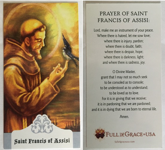 Saint Francis 2